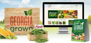 Georgia Grown Program Design
