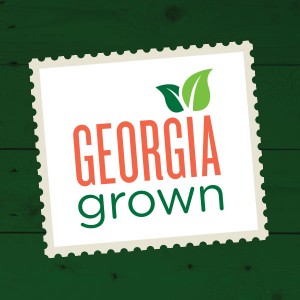 Georgia Grown Logo & Stationery Design