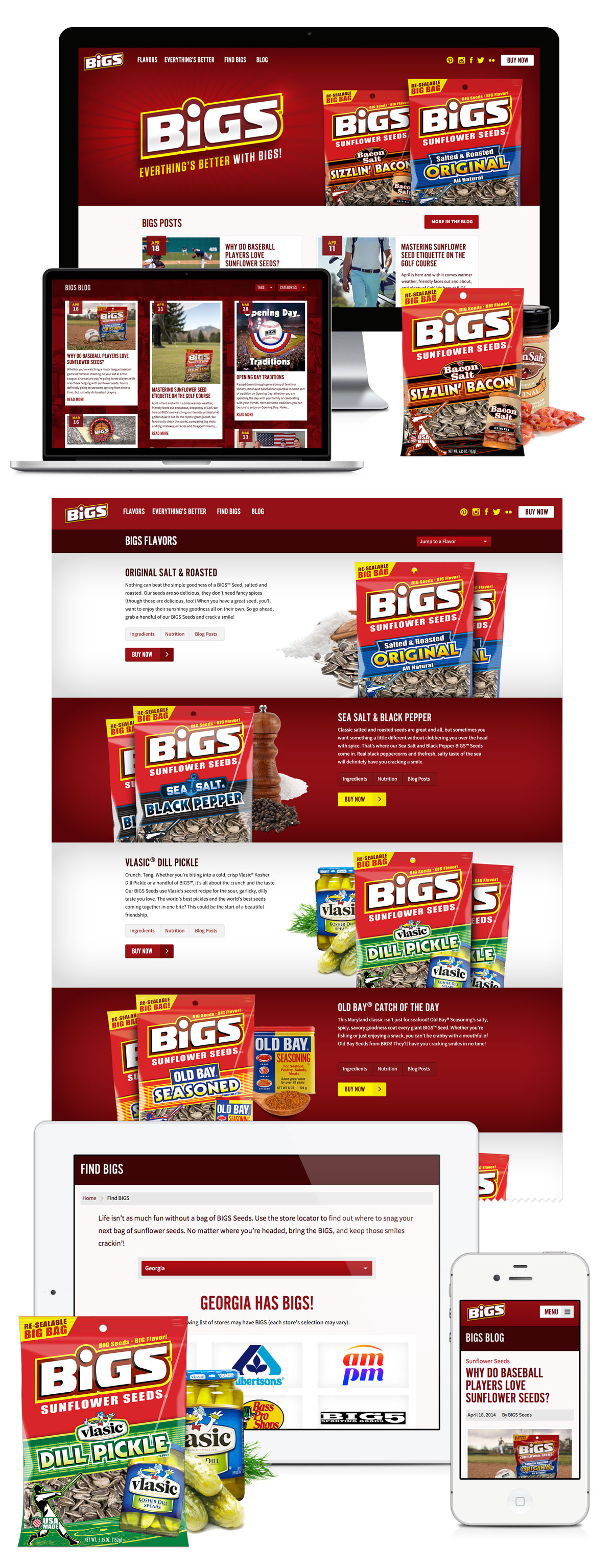BIGS Sunflower Seeds Website Design & Development